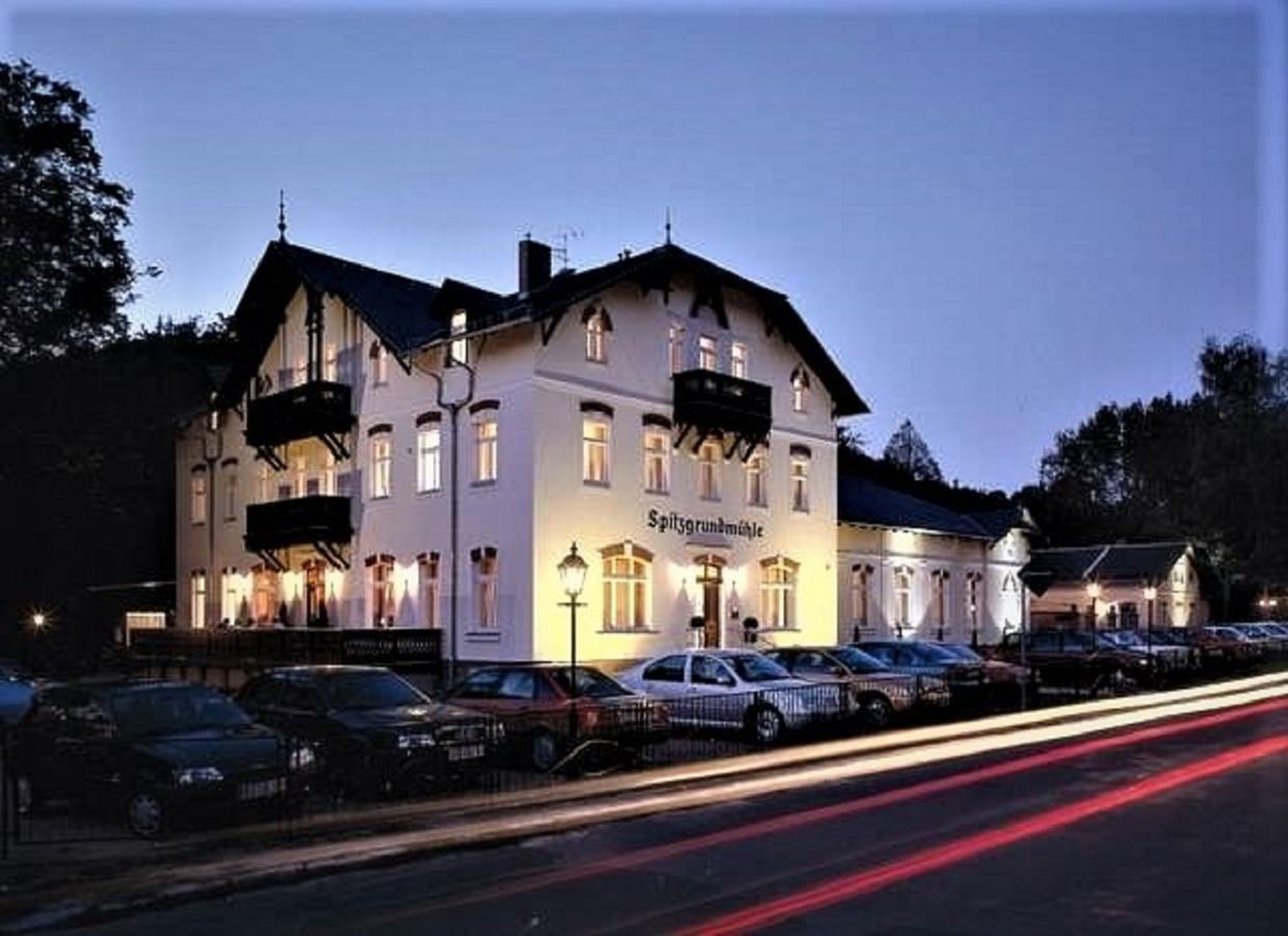 Historische Spitzgrundmuhle Hotell Coswig  Exteriör bild